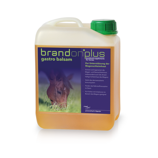 Brandon plus Gastro balsam, 2,5l