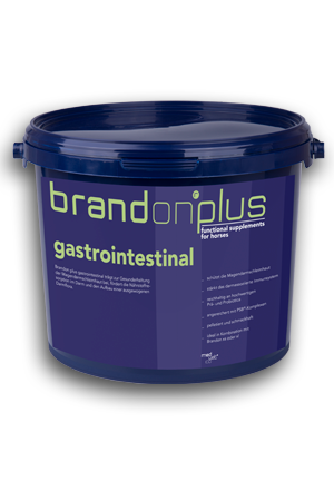Gastrointestinal, 3kg