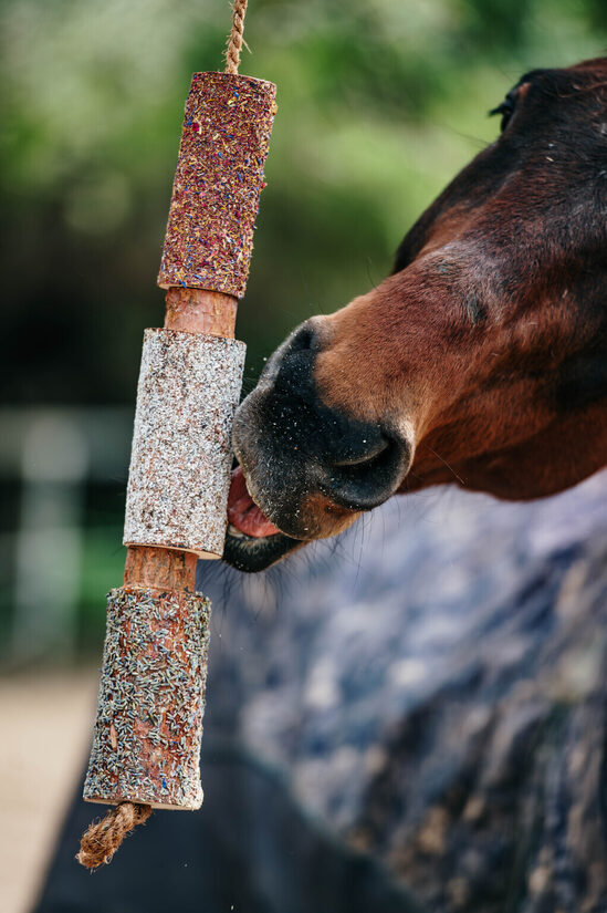 Herbi Horse graužamā rotaļlieta
